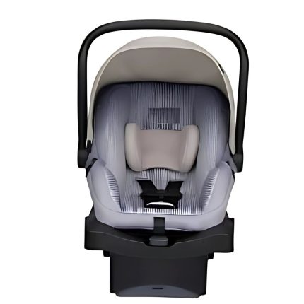 Rear-Facing Infant Car Seat with Canopy, 5-Point Harness, Gray Cushion